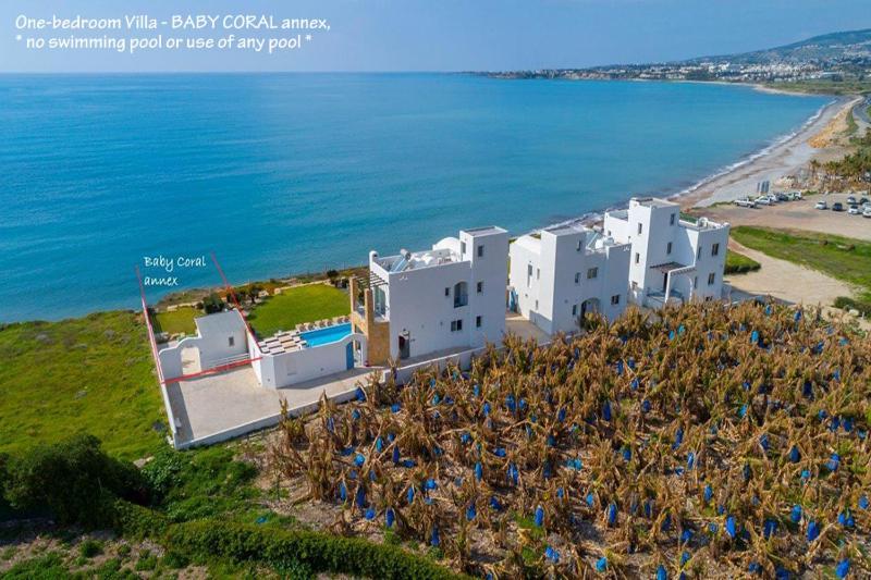 Blue Coral Beach Villas Three Exclusive Villas - Poseidon - Nautilus - Oceanos - And - Baby Coral Bungalow كورال باي المظهر الخارجي الصورة